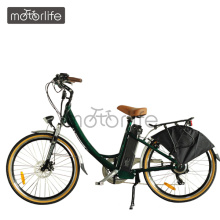 EN15194 factory supply electric bike from China with power motor